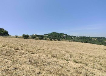 Foto 16 - Terreno agricolo Contrada Paterno, Acquaviva Picena - foto 16