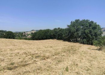 Foto 20 - Terreno agricolo Contrada Paterno, Acquaviva Picena - foto 20