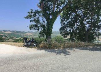 Foto 21 - Terreno agricolo Contrada Paterno, Acquaviva Picena - foto 21