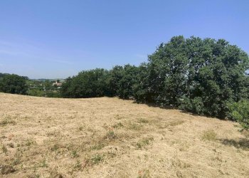 Foto 22 - Terreno agricolo Contrada Paterno, Acquaviva Picena - foto 22