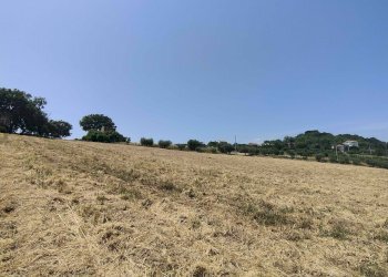 Foto 23 - Terreno agricolo Contrada Paterno, Acquaviva Picena - foto 23