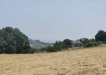 Foto 24 - Terreno agricolo Contrada Paterno, Acquaviva Picena - foto 24