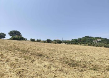 Foto 25 - Terreno agricolo Contrada Paterno, Acquaviva Picena - foto 25