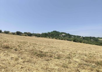 Foto 26 - Terreno agricolo Contrada Paterno, Acquaviva Picena - foto 26