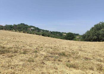 Foto 27 - Terreno agricolo Contrada Paterno, Acquaviva Picena - foto 27