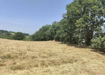 Foto 28 - Terreno agricolo Contrada Paterno, Acquaviva Picena - foto 28