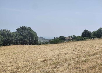 Foto 32 - Terreno agricolo Contrada Paterno, Acquaviva Picena - foto 32