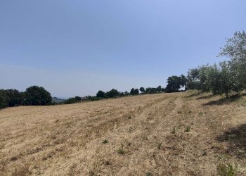 Foto 34 - Terreno agricolo Contrada Paterno, Acquaviva Picena - foto 34