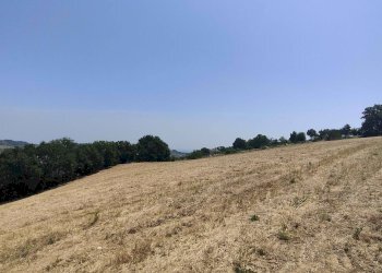 Foto 35 - Terreno agricolo Contrada Paterno, Acquaviva Picena - foto 35