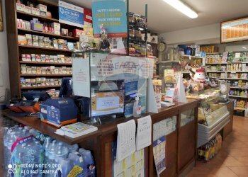 Dispensa di stoccaggio - Attività Commerciale Roccabascerana - foto 1
