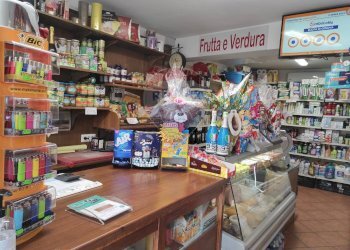 Dispensa di stoccaggio - Attività Commerciale Roccabascerana - foto 3