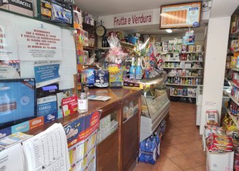 Dispensa di stoccaggio - Attività Commerciale Roccabascerana - foto 4