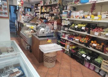 Dispensa di stoccaggio - Attività Commerciale Roccabascerana - foto 7