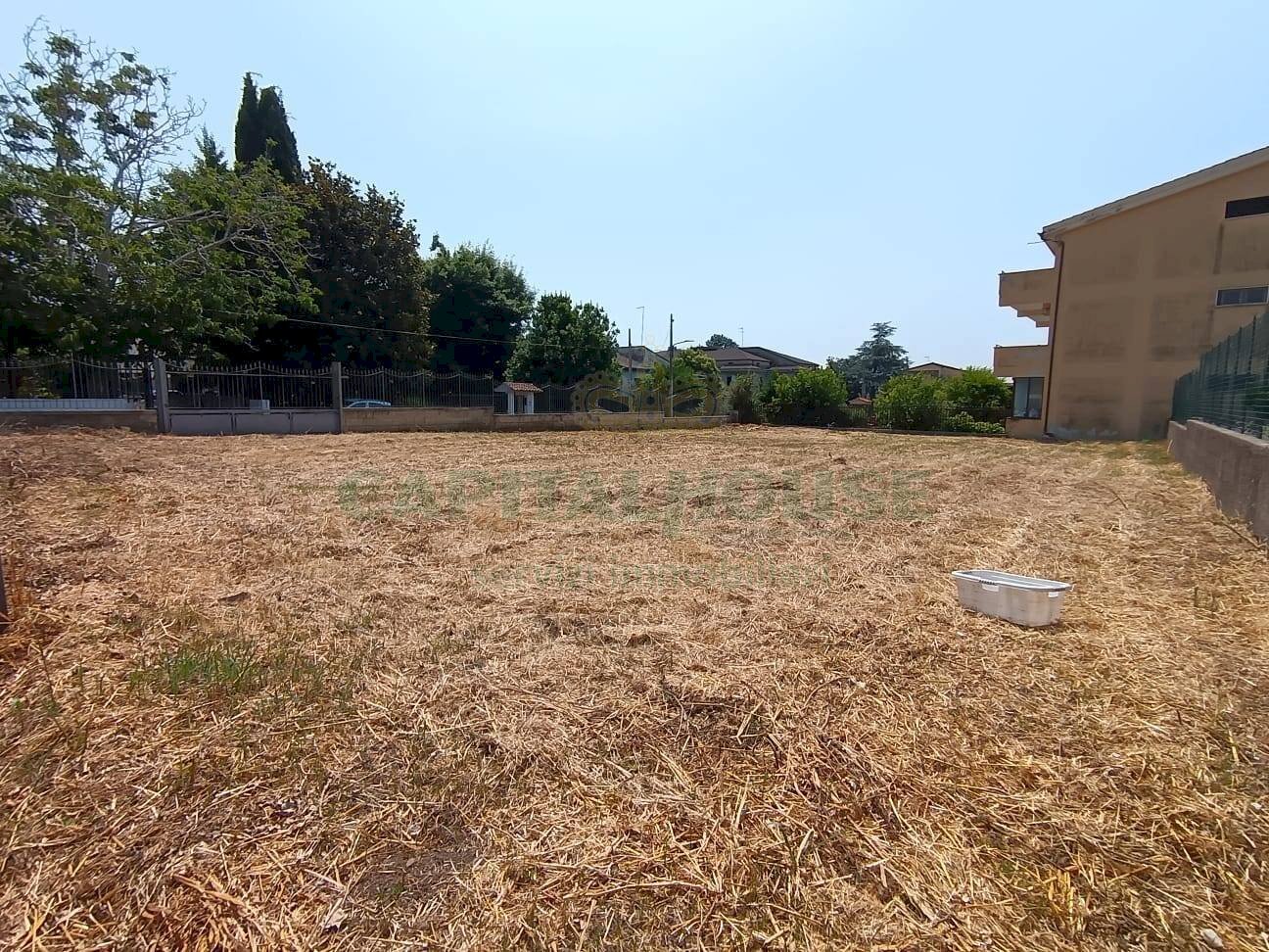 Foto 2 - Terreno agricolo Via Terra Grande, Caserta - foto 2