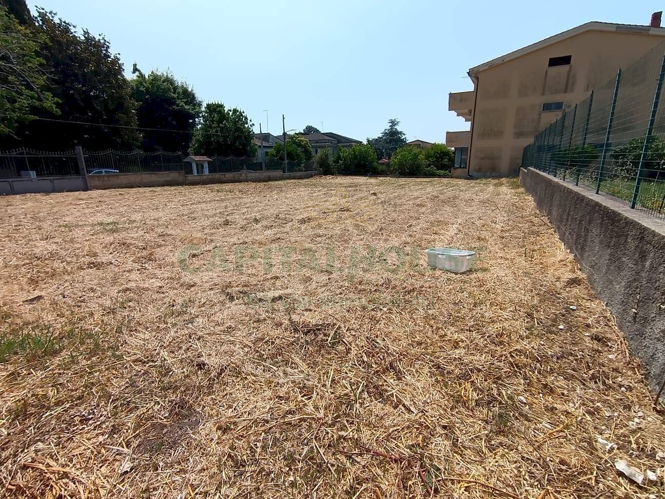 Foto 3 - Terreno agricolo Via Terra Grande, Caserta - foto 3