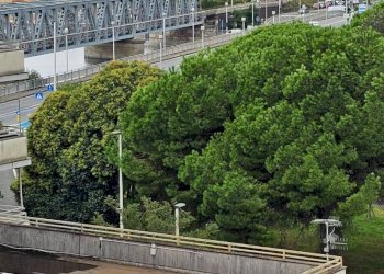 Foto 20 - Attico PIAZZA  LA SCAFA
 
4, Lavagna - foto 20