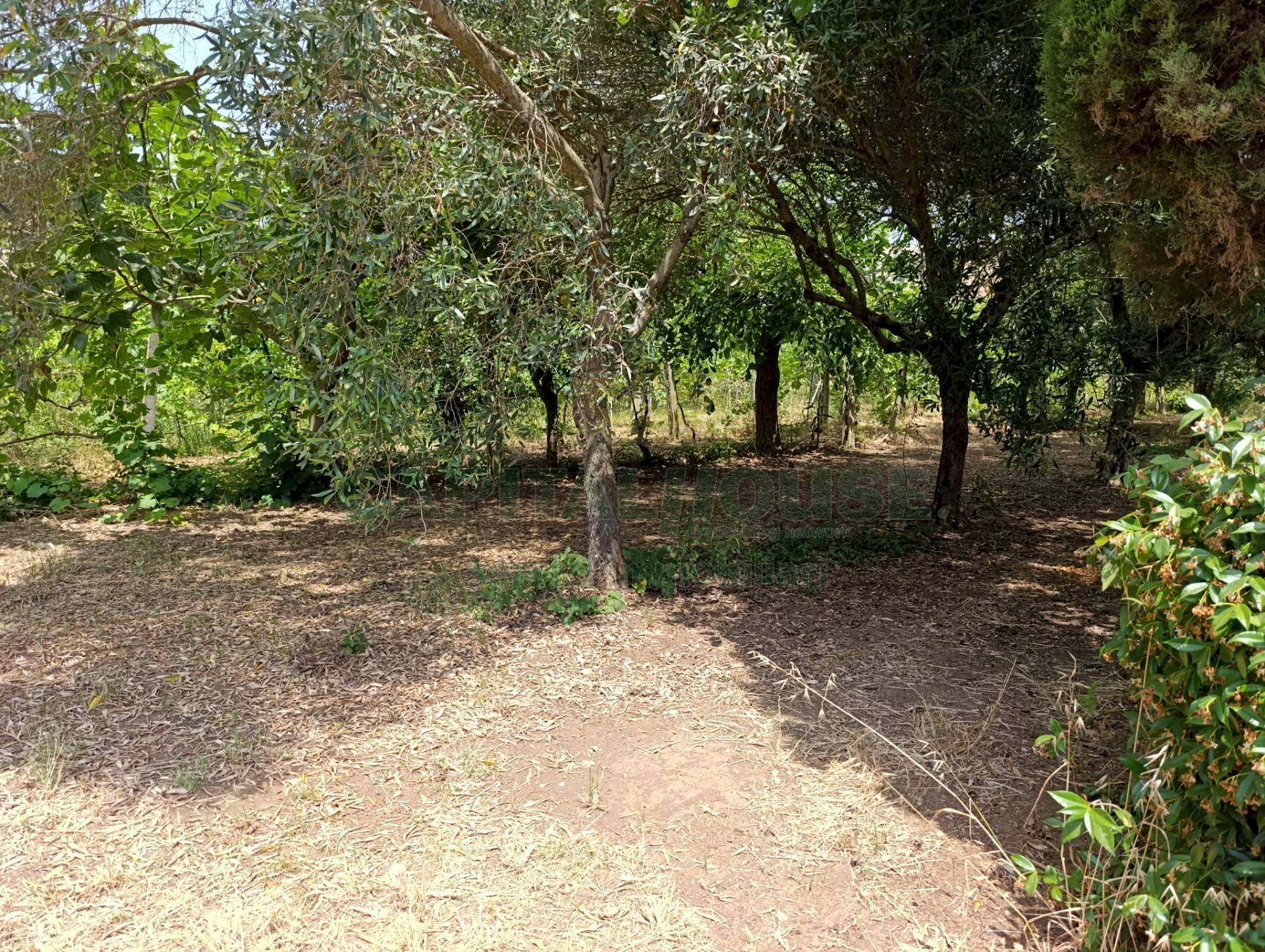 Foto 1 - Terreno edificabile via bonaccio, Pastorano - foto 1