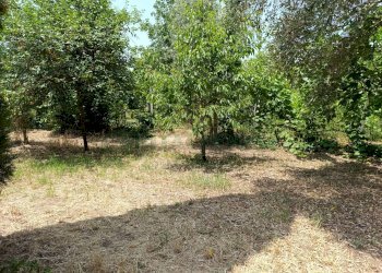 Foto 2 - Terreno edificabile via bonaccio, Pastorano - foto 2