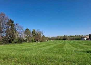 Foto 17 - Terreno edificabile VIA LEOPARDI, Divignano - foto 17