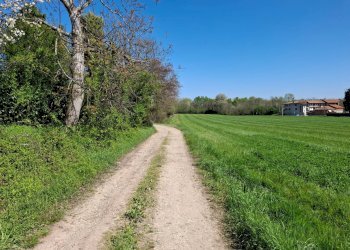 Foto 26 - Terreno edificabile VIA LEOPARDI, Divignano - foto 26