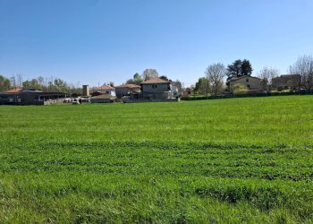 Foto 28 - Terreno edificabile VIA LEOPARDI, Divignano - foto 28