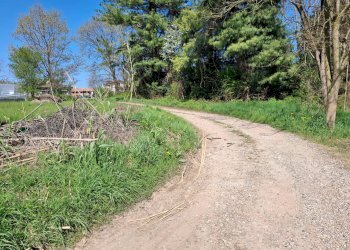 Foto 30 - Terreno edificabile VIA LEOPARDI, Divignano - foto 30