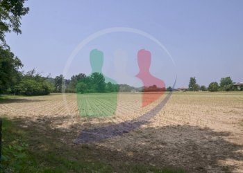 Foto 72 - Casa semi indipendente Via G. Marconi
 
28, Mottalciata - foto 72