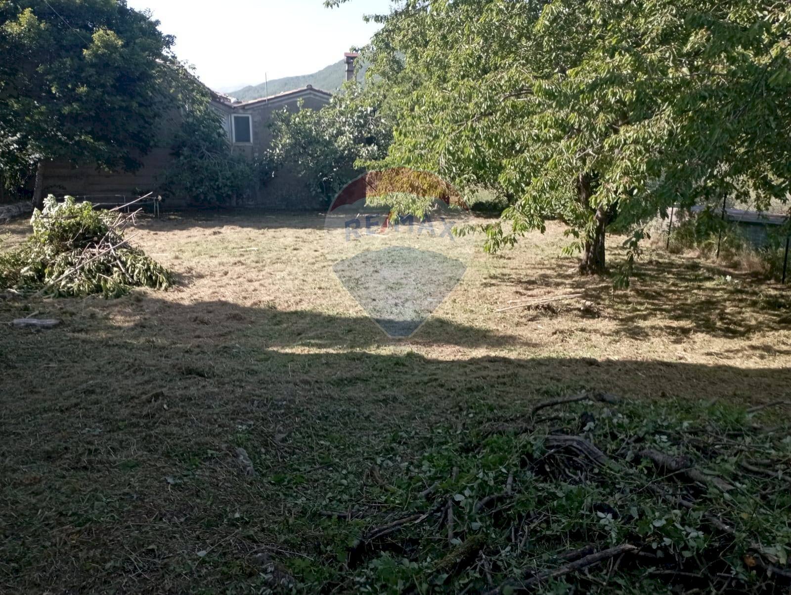 Giardino - Casa indipendente Strada statale 158
102, Pizzone - foto 3