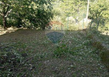 Giardino - Casa indipendente Strada statale 158
 
102, Pizzone - foto 10