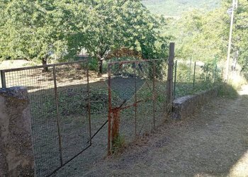 Giardino - Casa indipendente Strada statale 158
 
102, Pizzone - foto 11