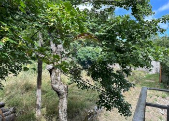 Giardino - Casa indipendente Strada statale 158
 
102, Pizzone - foto 56