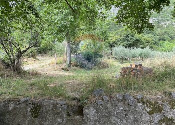 Giardino - Casa indipendente Strada statale 158
 
102, Pizzone - foto 88