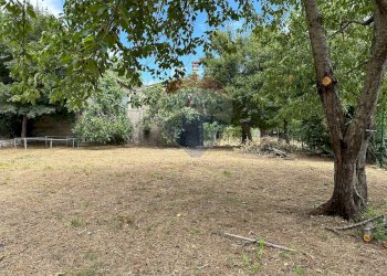 Giardino - Casa indipendente Strada statale 158
 
102, Pizzone - foto 98