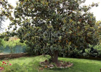 Foto 6 - Villa Via Pica, Avola - foto 6