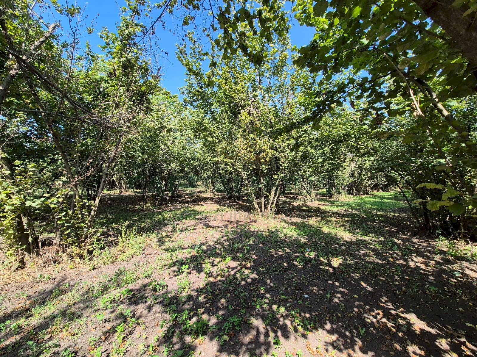 Foto 1 - Terreno agricolo contrada perni, Terzigno - foto 1