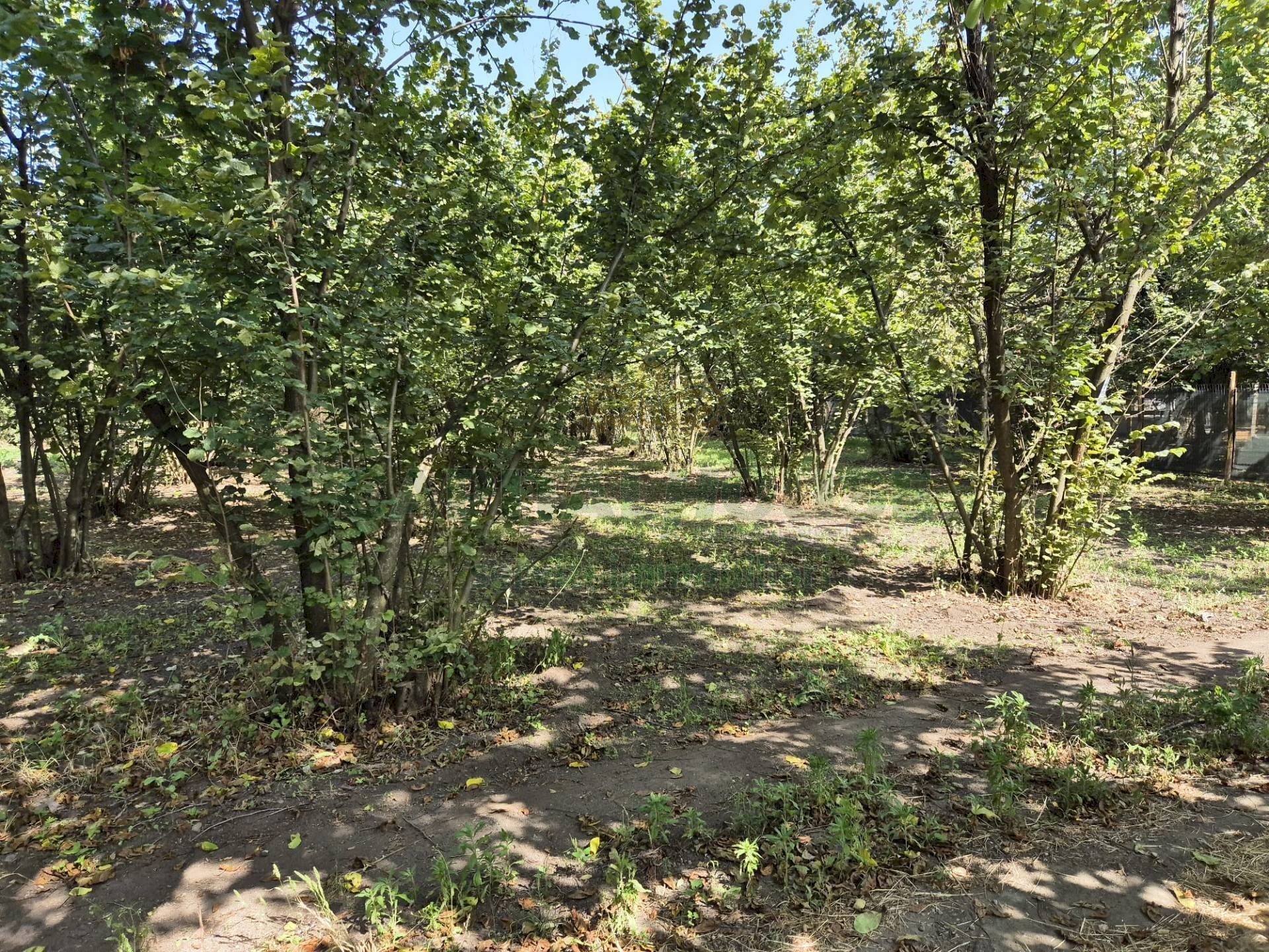 Foto 2 - Terreno agricolo contrada perni, Terzigno - foto 2