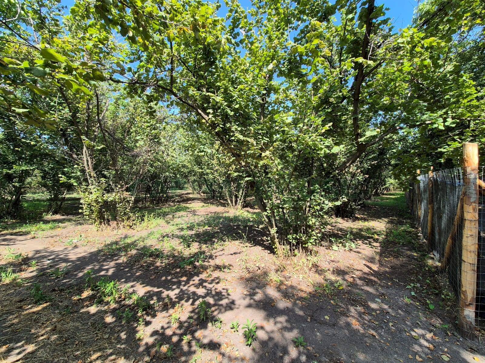 Foto 3 - Terreno agricolo contrada perni, Terzigno - foto 3