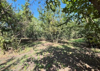 Foto 1 - Terreno agricolo contrada perni, Terzigno - foto 1