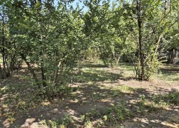 Foto 2 - Terreno agricolo contrada perni, Terzigno - foto 2