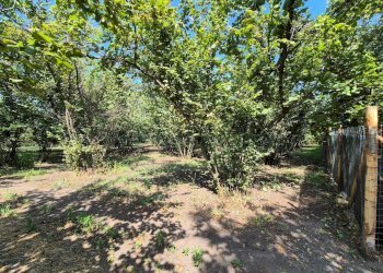 Foto 3 - Terreno agricolo contrada perni, Terzigno - foto 3