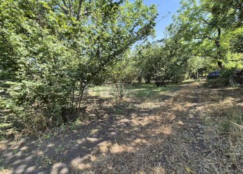 Foto 5 - Terreno agricolo contrada perni, Terzigno - foto 5