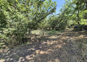 Foto 6 - Terreno agricolo contrada perni, Terzigno - foto 6