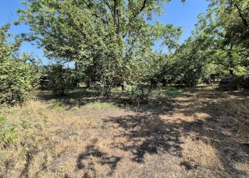 Foto 7 - Terreno agricolo contrada perni, Terzigno - foto 7