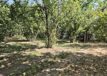 Foto 12 - Terreno agricolo contrada perni, Terzigno - foto 12