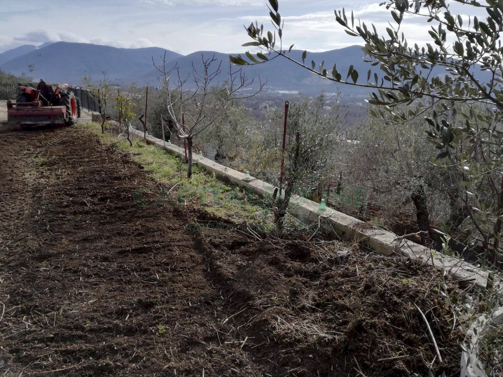 Foto 2 - Terreno agricolo via san francesco, Avella - foto 2