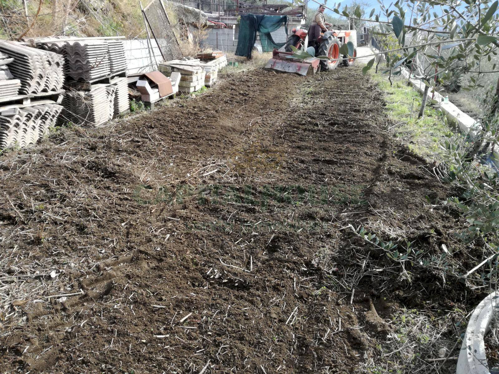 Foto 3 - Terreno agricolo via san francesco, Avella - foto 3