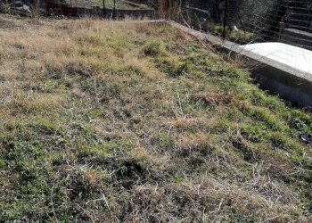 Foto 1 - Terreno agricolo via san francesco, Avella - foto 1