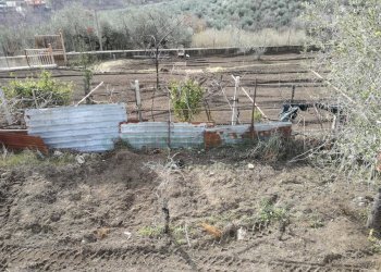 Foto 4 - Terreno agricolo via san francesco, Avella - foto 4