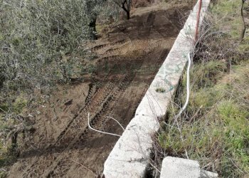 Foto 5 - Terreno agricolo via san francesco, Avella - foto 5