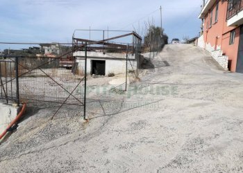 Foto 6 - Terreno agricolo via san francesco, Avella - foto 6